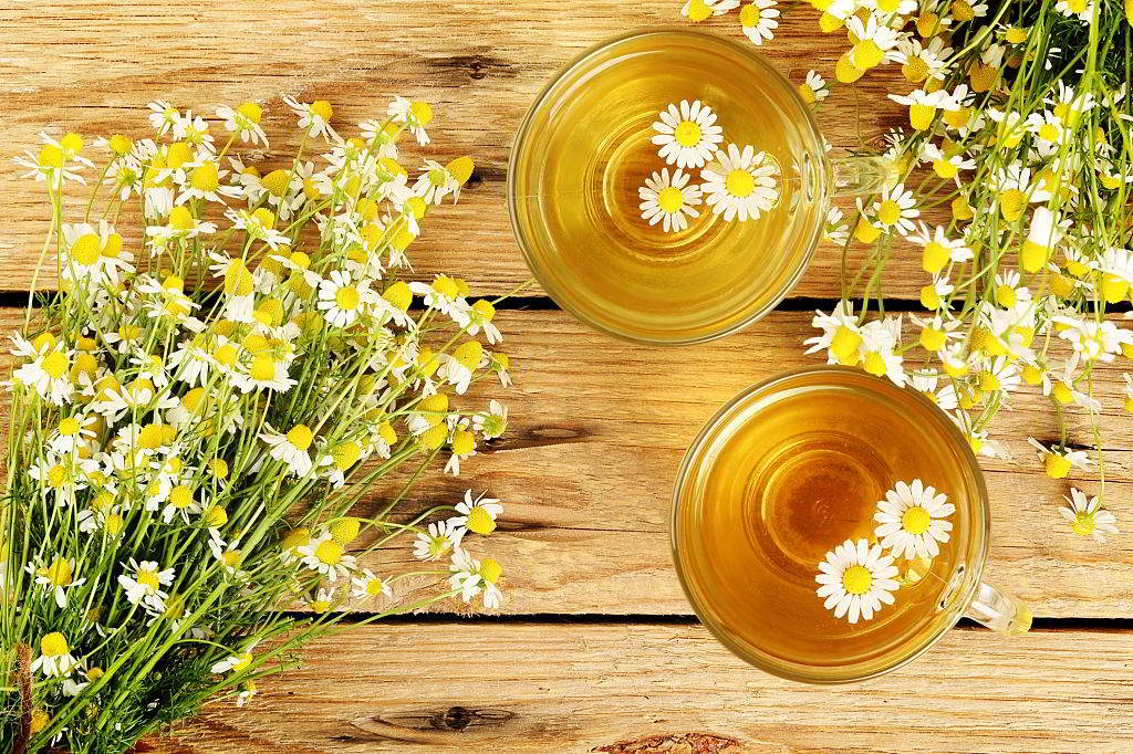 How To Make Chamomile Tea For Babies In A Safe Way ShrewdMommy