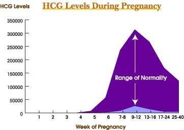 hcg levels during pregnancy
