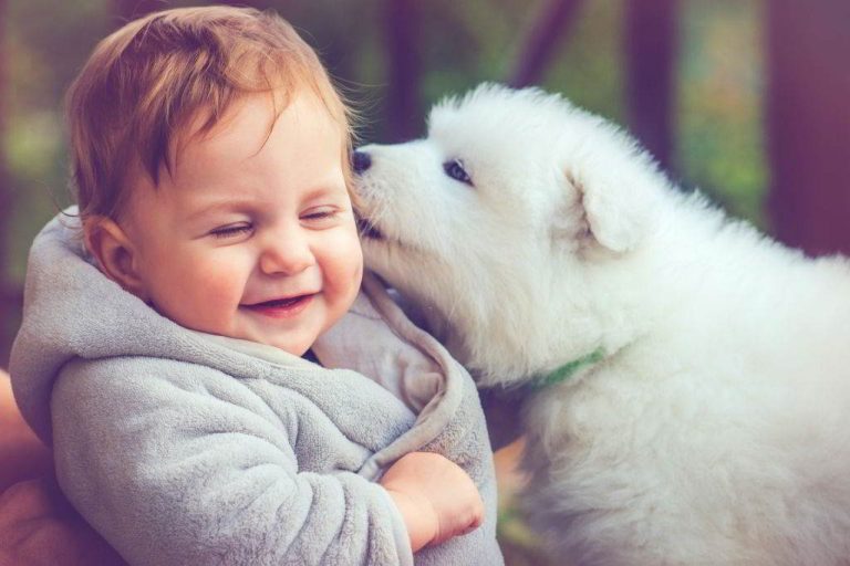 puppies and babies