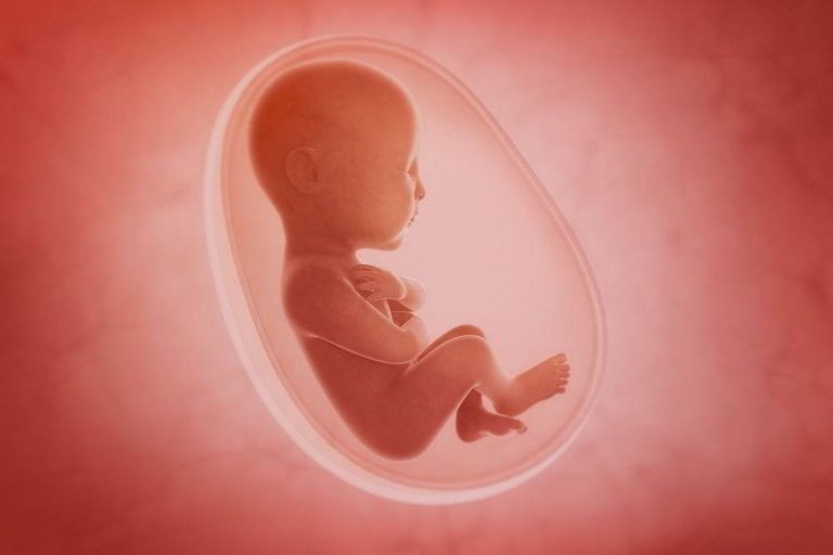 when does the placenta take over